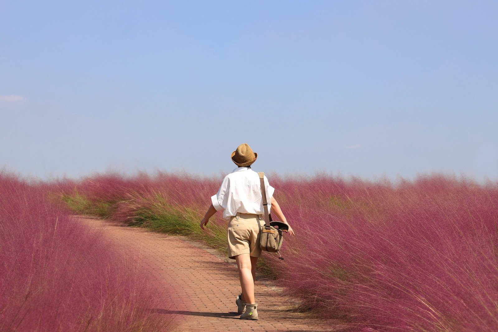 Voyager écolo : astuces pour un tourisme responsable
